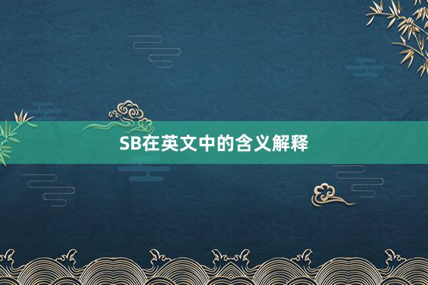 SB在英文中的含义解释